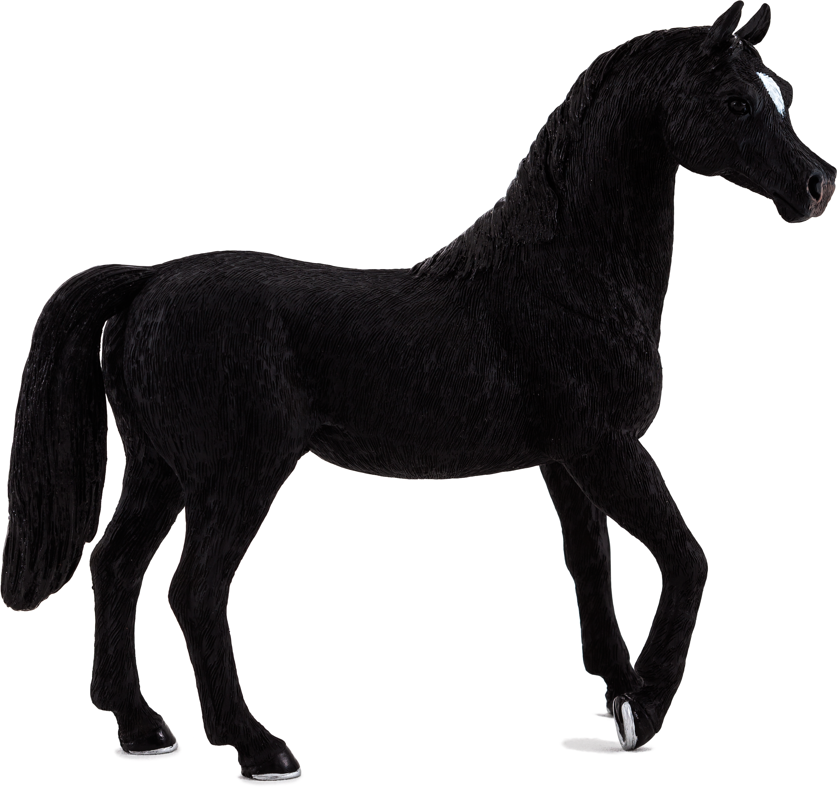 Black Arabian Horse Nz Clipart (4839x3226), Png Download