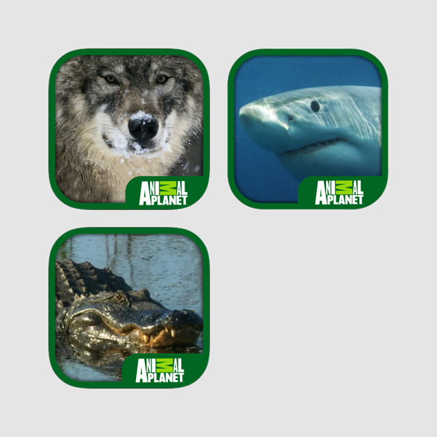 Interactive Ebook Pack 4 - Great White Shark Clipart (630x630), Png Download