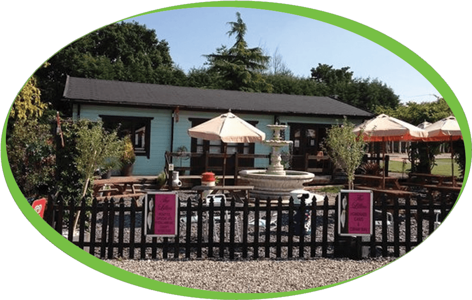 The Lillies Cafe - Lillies Cafe Wickford Clipart (992x642), Png Download