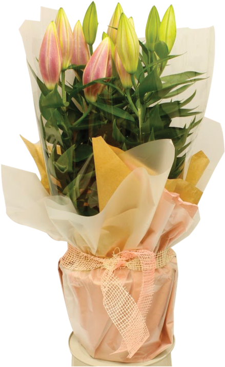 Lily Pot Gift Wrap 1600 - Bouquet Clipart (800x800), Png Download