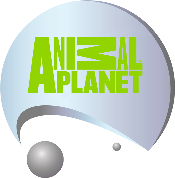 History Of All Logos Animal Planet - Animal Planet Clipart (800x800), Png Download