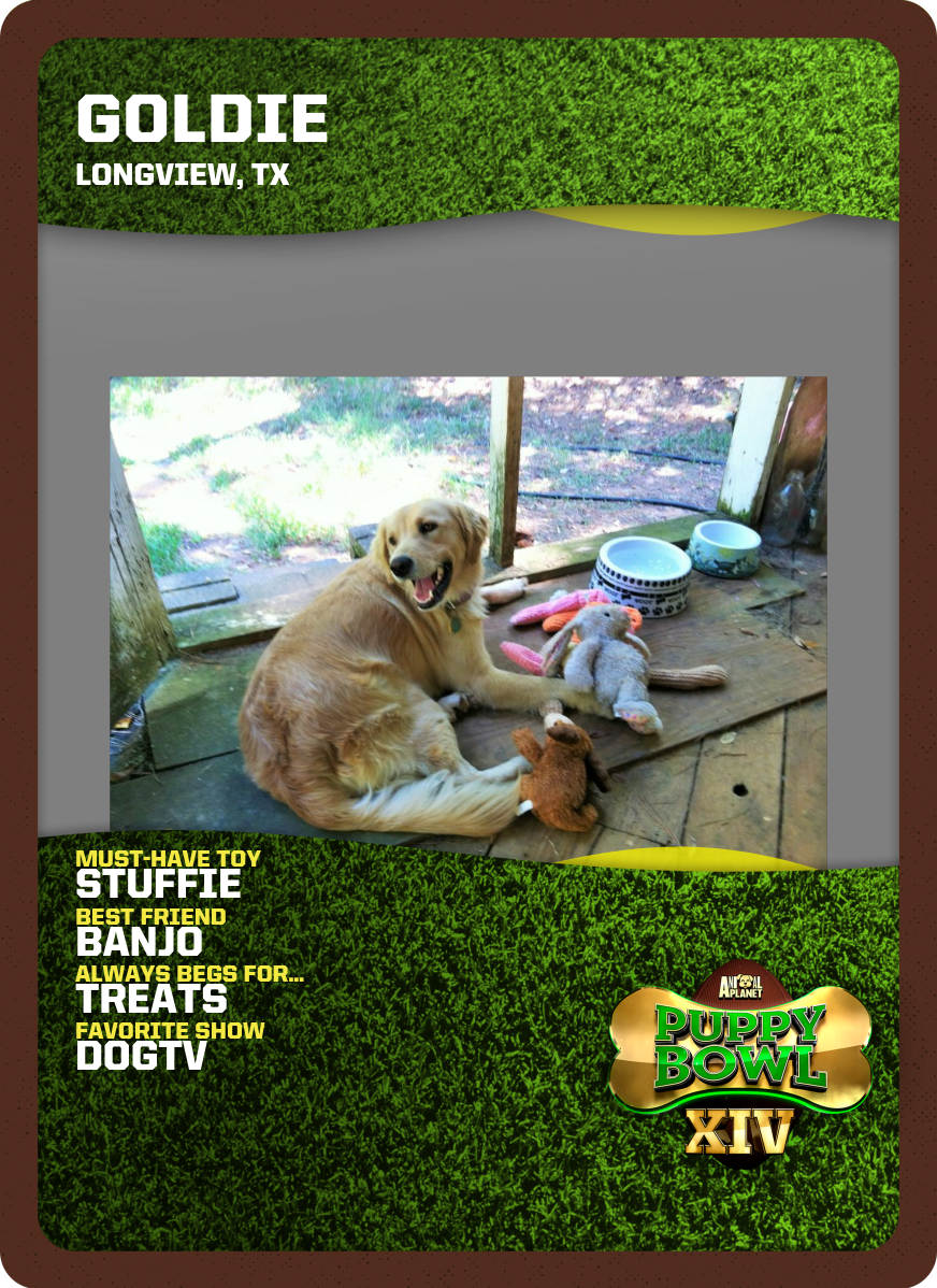 Dog Catches Something Clipart (872x1198), Png Download