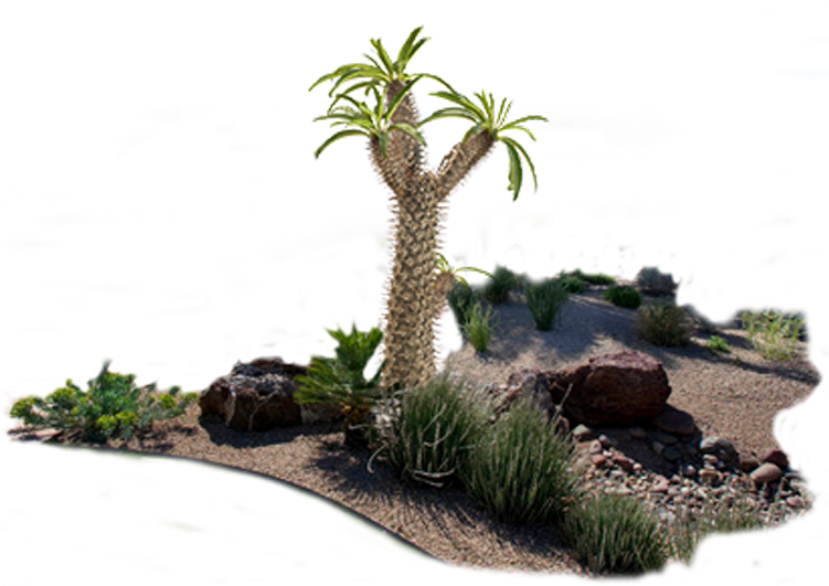 Roystonea Clipart (750x750), Png Download