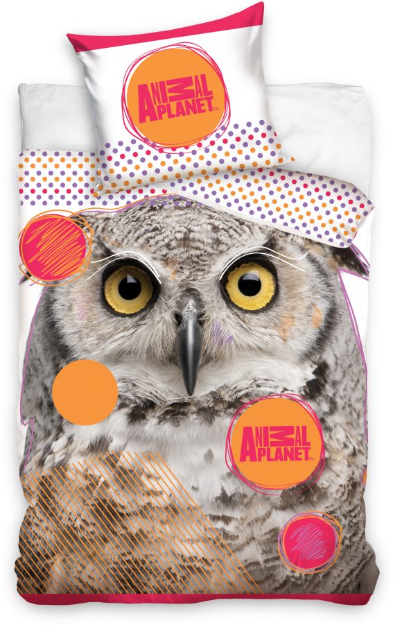 Information About Product - Owls With White Background Clipart (679x1000), Png Download