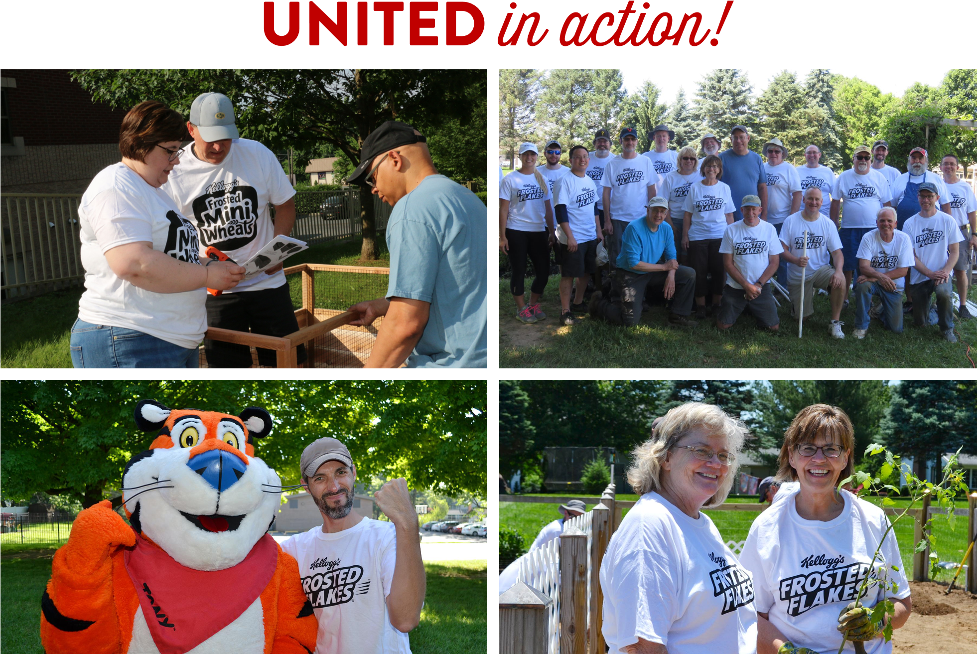 Desert Grass Png Clipart (1960x1371), Png Download