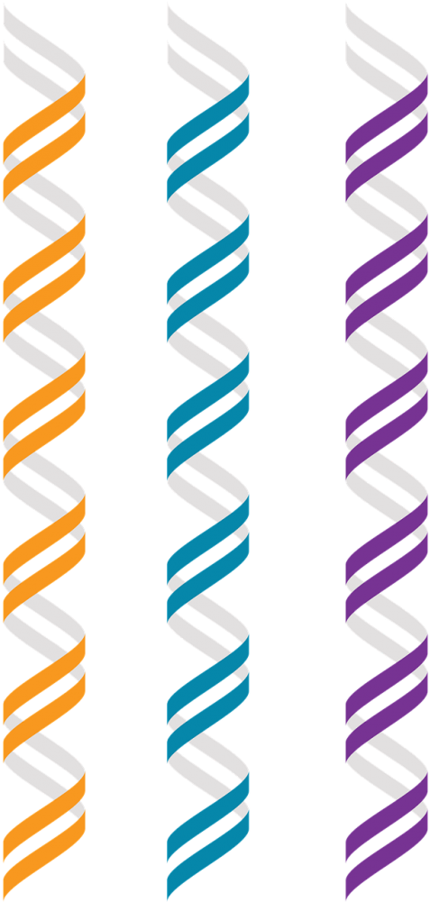 Genomics,double Helix,right Hand Clipart (477x1001), Png Download