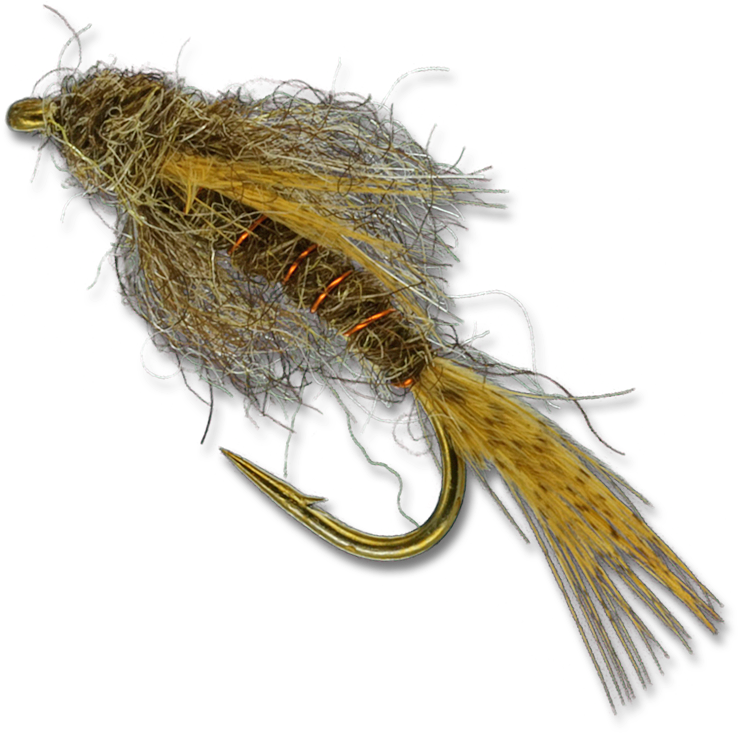 Insect Clipart (800x800), Png Download