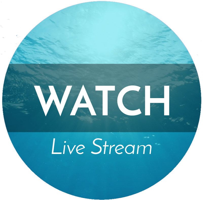 Love People - Circle Clipart (800x800), Png Download