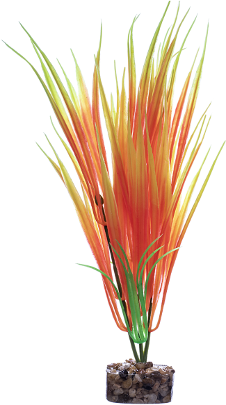 467-78044 - Grass Clipart (600x600), Png Download