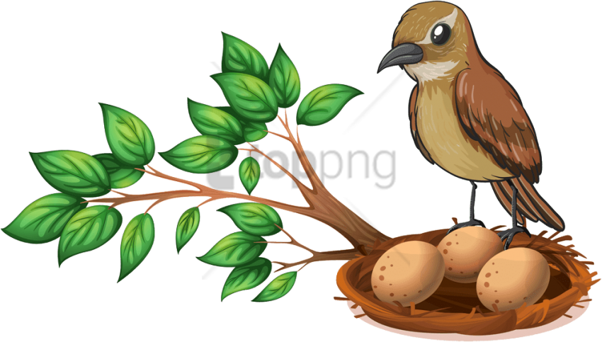 Free Png Bird Nest On Tree Png Image With Transparent - Nest With Eggs And Bird Clipart (850x483), Png Download