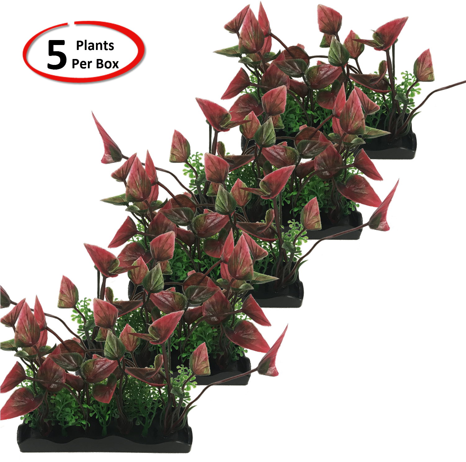 View Larger - Garden Roses Clipart (1500x1500), Png Download