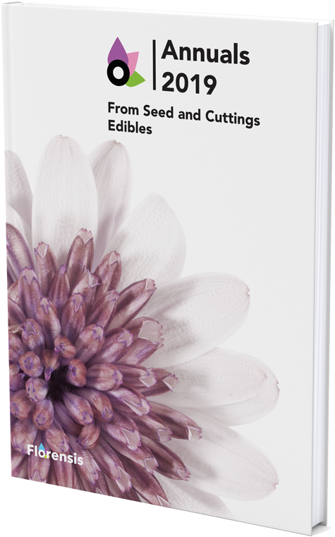 View Catalogue - African Daisy Clipart (750x1000), Png Download