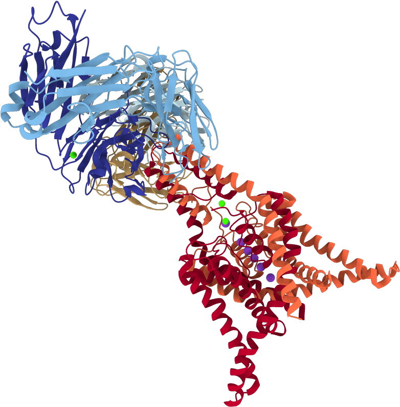 4wfe - Graphic Design Clipart (1000x1000), Png Download