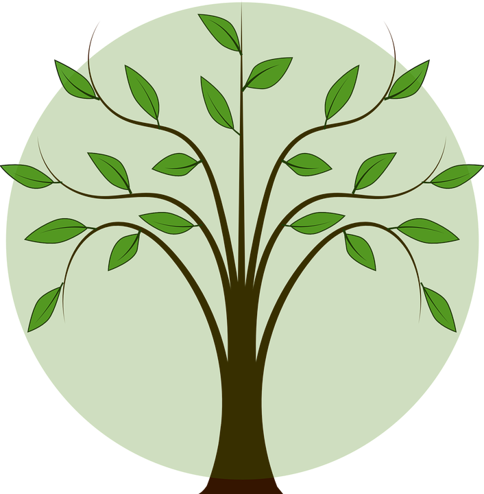 Leaves Branch Leaf - Tree With Leaf Drawing Clipart (706x720), Png Download