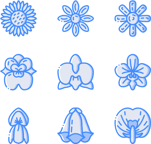 Botanicals - 닌자 표창 Clipart (600x564), Png Download