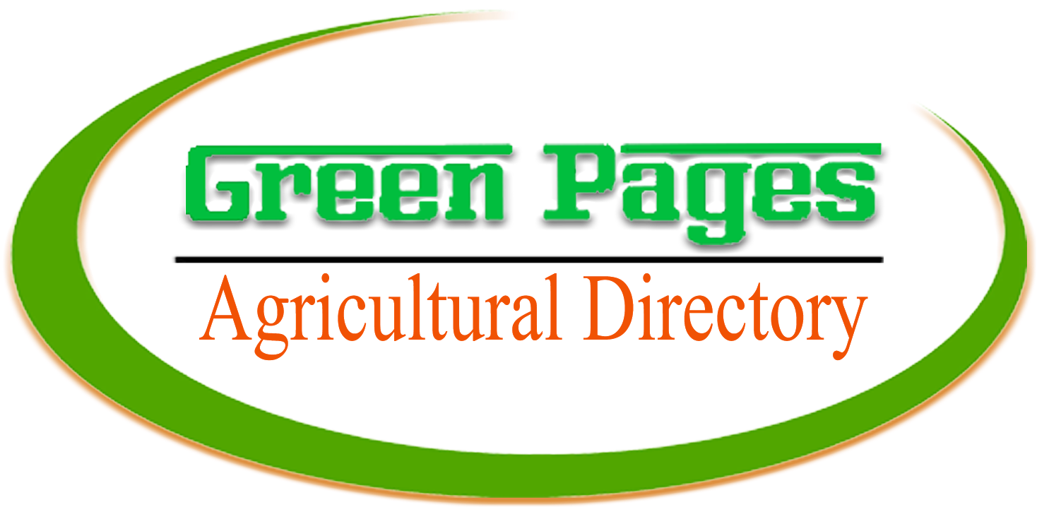 Abu Hail Star Fruit & Vegetables - 4life Research Clipart (1600x798), Png Download