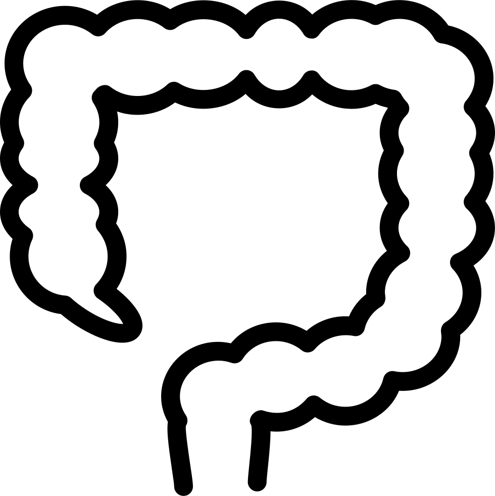 Png File Svg - Large Intestine Icon Png Clipart (980x982), Png Download