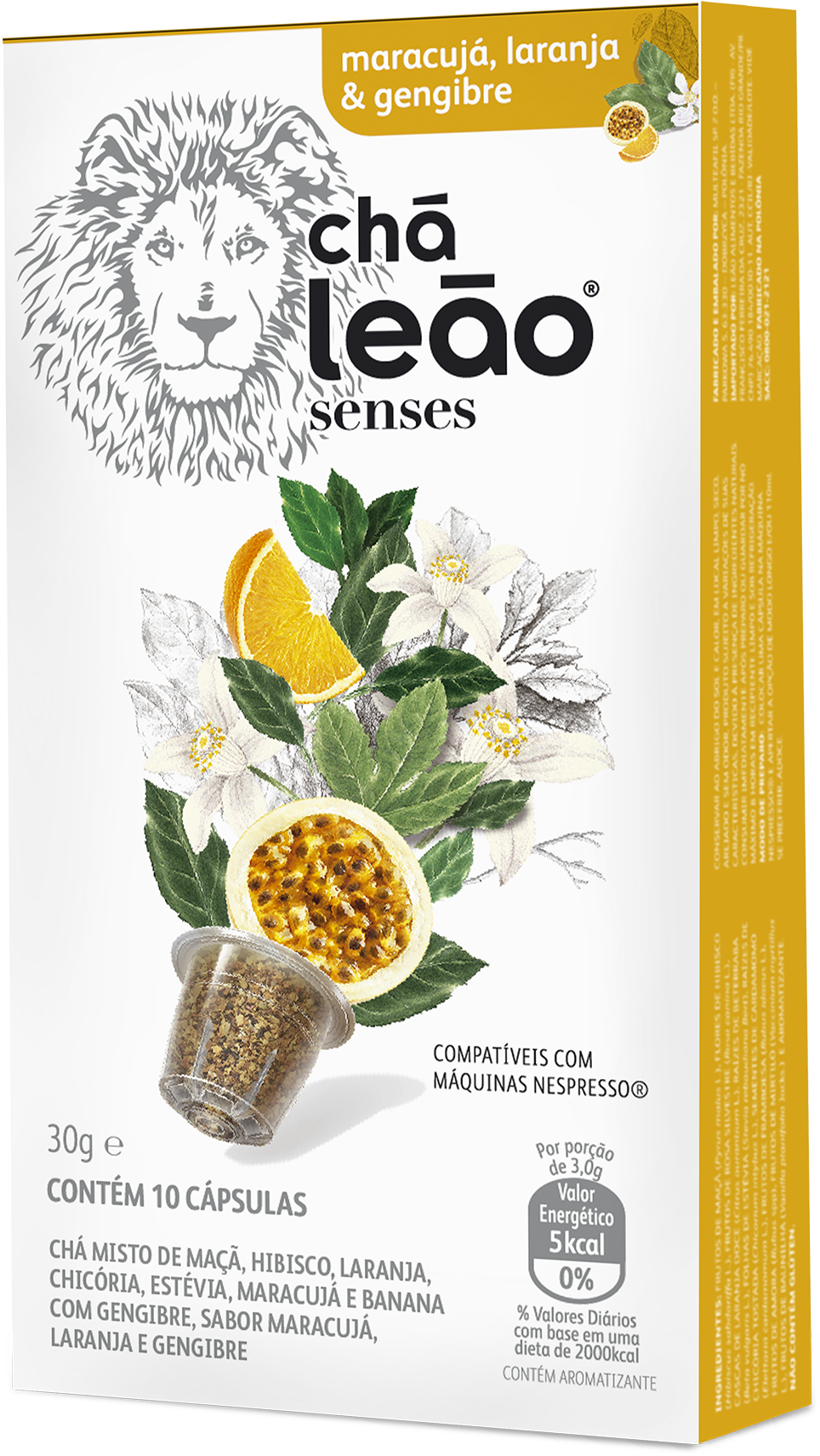 Matte Leão Clipart (1181x1875), Png Download