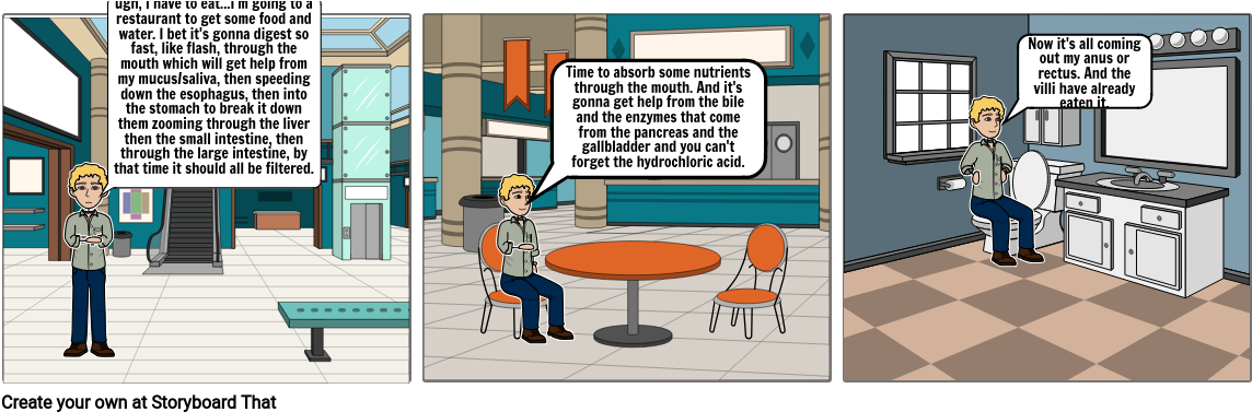 The Digestive System - Cartoon Clipart (1165x386), Png Download