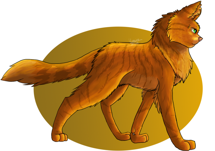 Golden Tabby, Green Eyes - Light Brown Warrior Cats Clipart (1024x723), Png Download