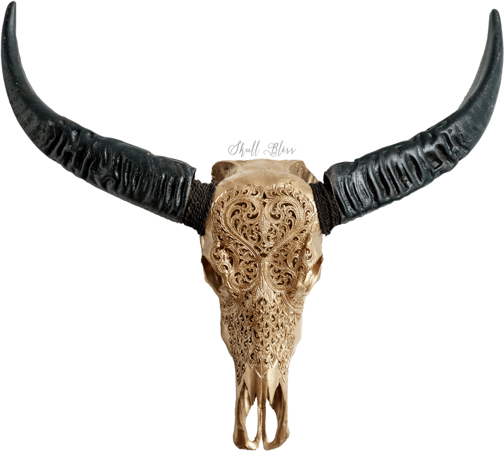 Bull Clipart (1024x1024), Png Download