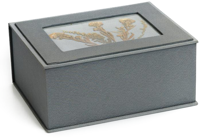 Faux Lizard Jewelry Box - Box Clipart (702x480), Png Download