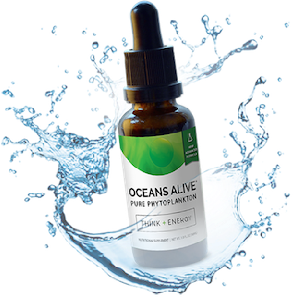 Healthy Inside Healthy Outside - Oceans Alive 2.0 Marine Phytoplankton Clipart (1196x1200), Png Download