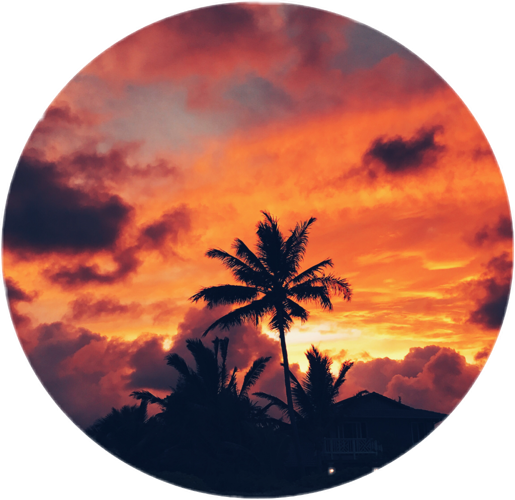 Palmeira Sticker - Sunset Clipart (1024x994), Png Download