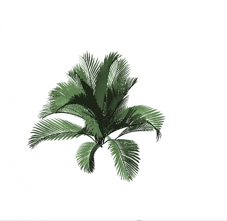 Borassus Flabellifer Clipart (786x1000), Png Download