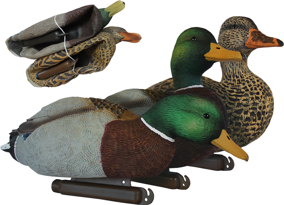 Nomad Series Mallard Floaters - Mallard Clipart (1008x864), Png Download