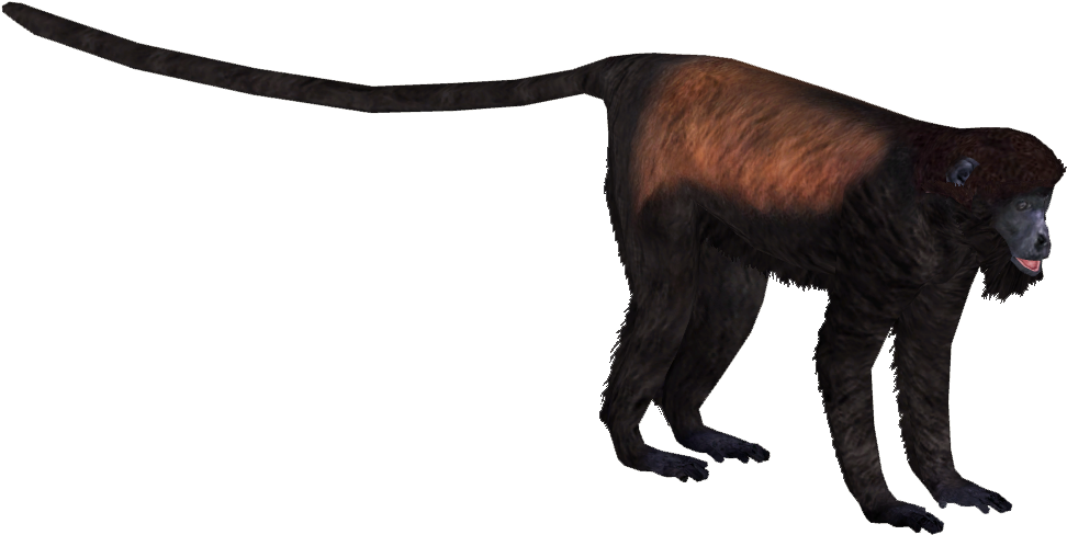 Mantled Howler Tamara Henson Zt Download Library - Zt2 Download Library Monkeys Clipart (971x971), Png Download