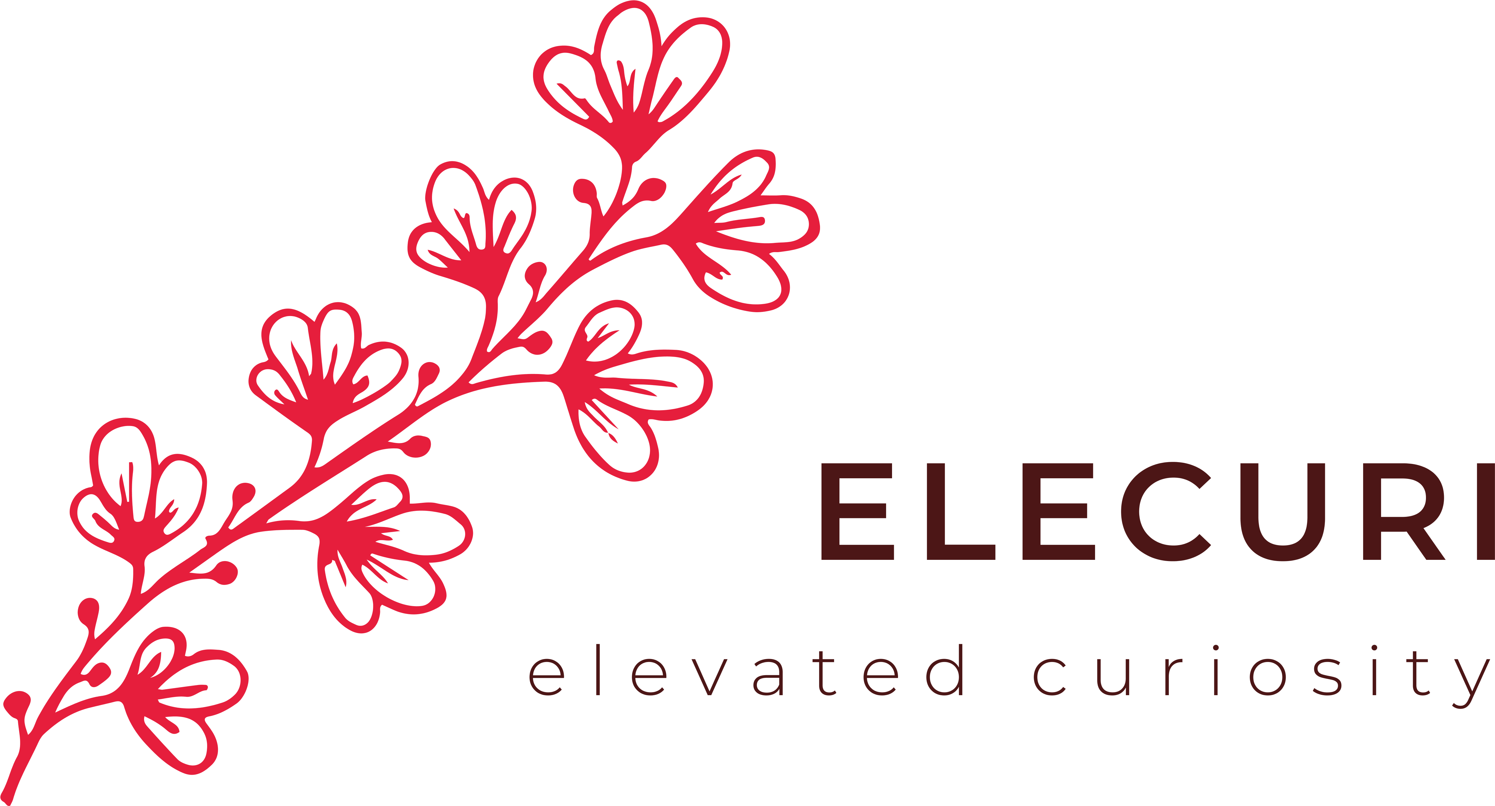 Floral Design Clipart (5000x2743), Png Download