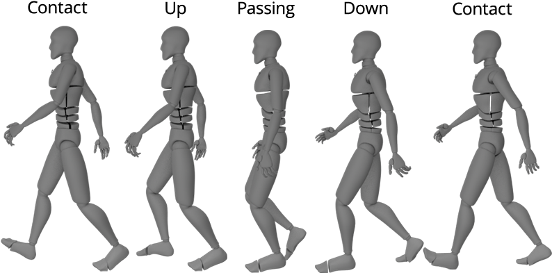 How To Create A Walk Cycle Animation In Blender Pluralsight - Walk Cycle Animation Blender Clipart (800x450), Png Download