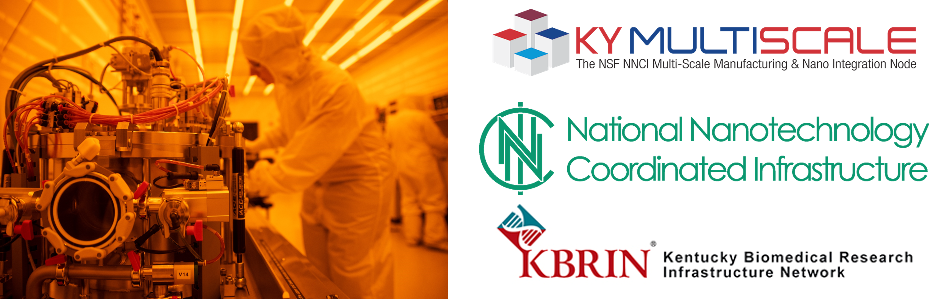 The - Graphic Design Clipart (1859x602), Png Download