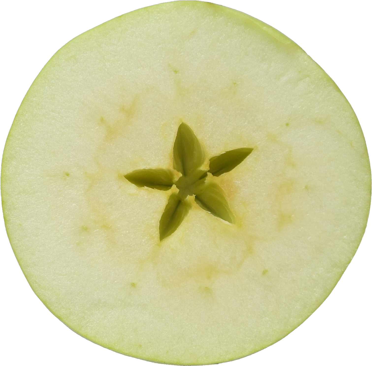 Granny Smith Clipart (1668x1664), Png Download