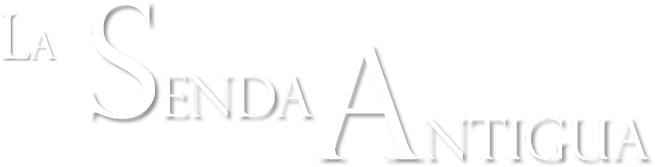 Logo Clipart (1328x356), Png Download