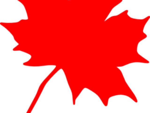 Transparent Maple Leaf Canada Clipart (640x480), Png Download