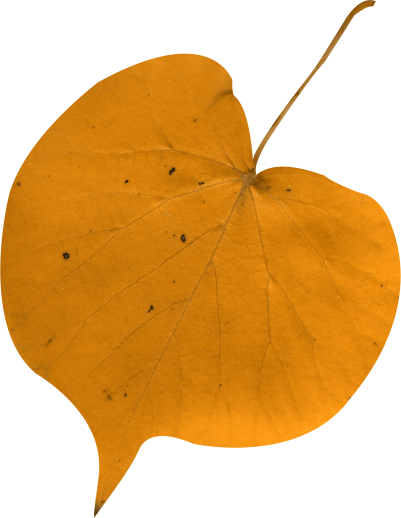 Autumn Clipart (794x1024), Png Download