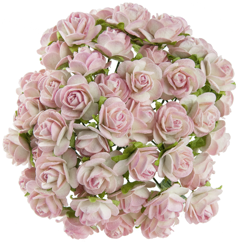 2-tone Baby Pink/ivory Mulberry Paper Open Roses Clipart (800x800), Png Download