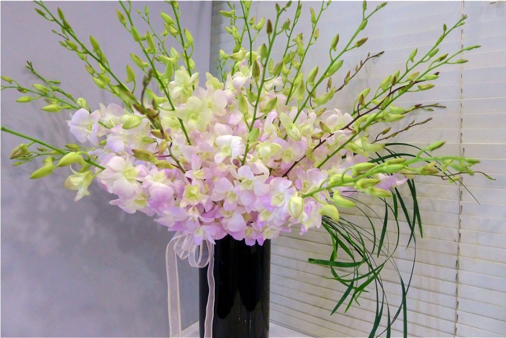 Fiv122-1024x683 Clipart (1024x1024), Png Download