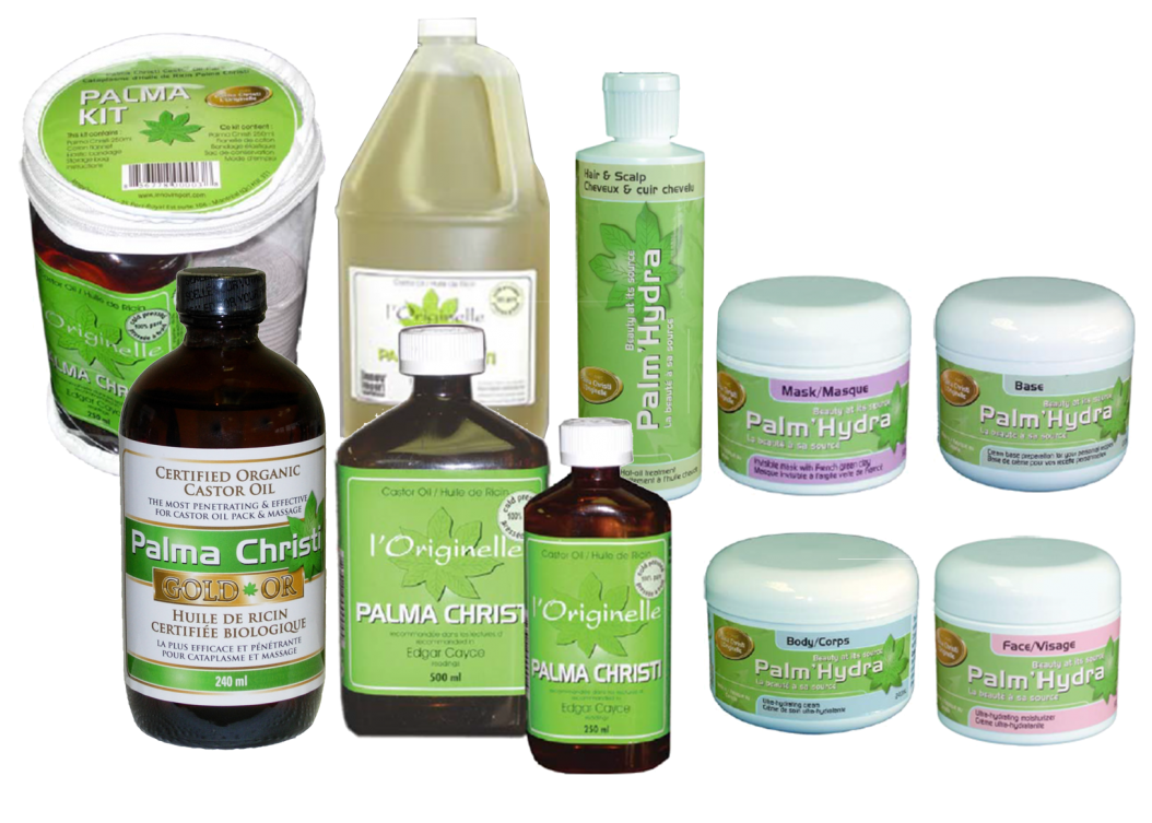 Palma Christi - Palm Christi Clipart (1200x773), Png Download