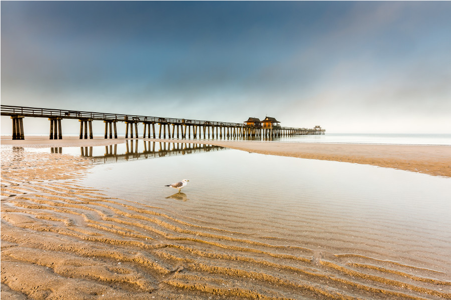 The Shop - Pier Clipart (1000x1000), Png Download