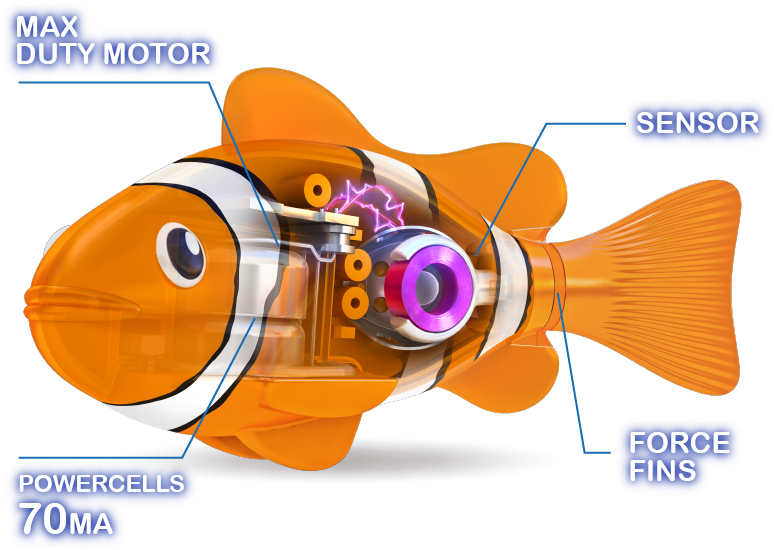 3/4 Real-life Pets - Cartoon Clipart (856x854), Png Download