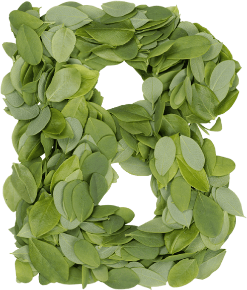 Summer Leaves Font - Wreath Clipart (595x595), Png Download