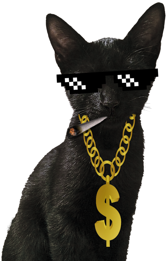 Tagged "mug Life" Crazy Cat Crack - Black Cat Clipart (1141x1200), Png Download