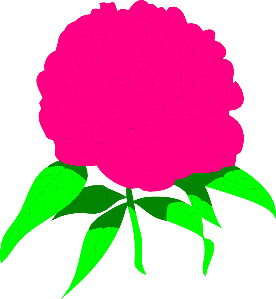 Peony Cliparts Free - Rose - Png Download (958x1037), Png Download
