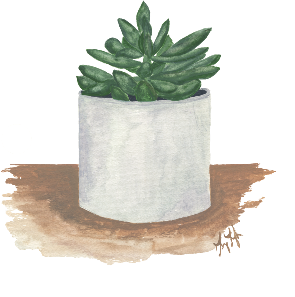Succulent - Flowerpot Clipart (1000x1339), Png Download