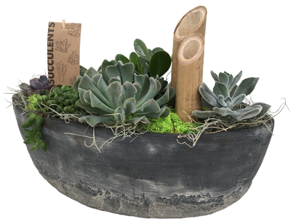The Succulent Boat - Flowerpot Clipart (600x673), Png Download
