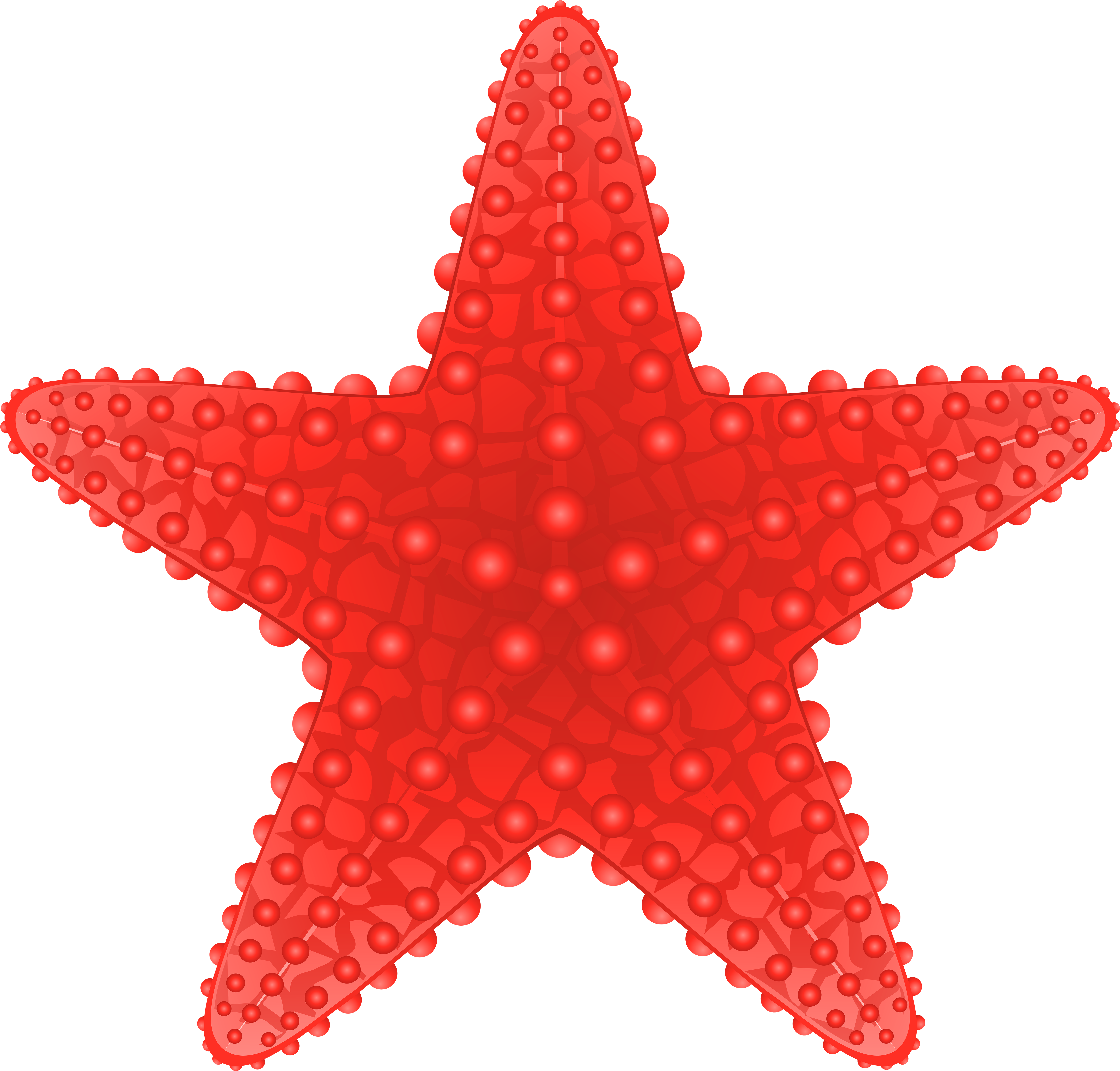 Starfish Transparent Png Clip Art Image - Starfish Clipart Png (6000x5741), Png Download