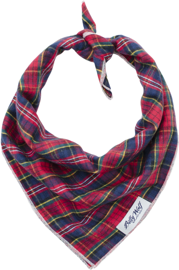 Bandana Png Clipart (1000x1000), Png Download